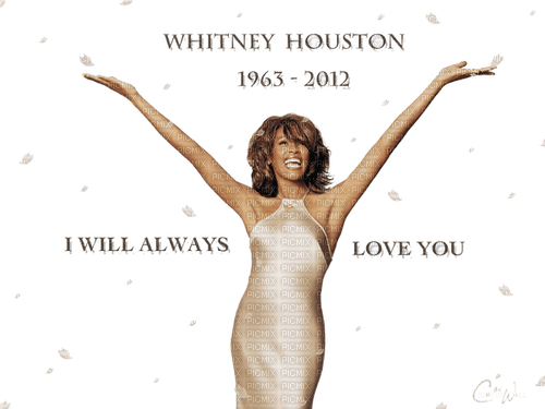 Whitney Houston milla1959 - PNG gratuit