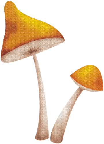 dolceluna fantasy mushroom - besplatni png