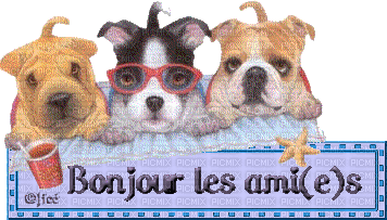 bonjour les ami(e)s - Бесплатни анимирани ГИФ