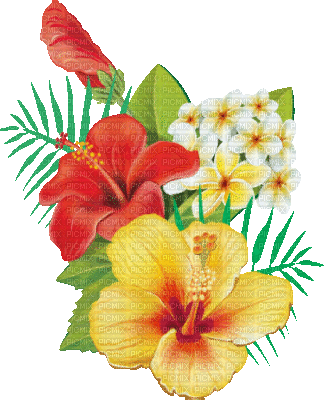 soave deco summer animated branch tropical flowers - 免费动画 GIF