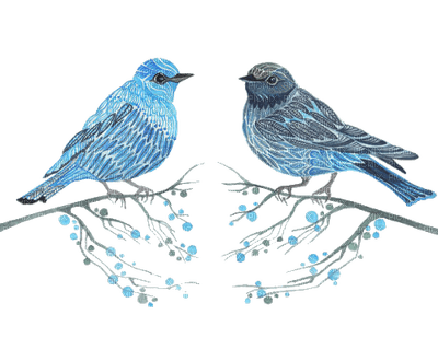 Birds - Free PNG
