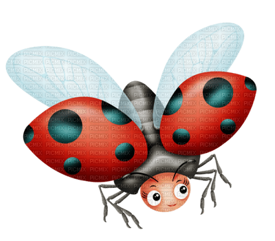Kaz_Creations Ladybugs Ladybug - безплатен png