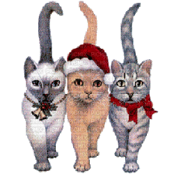 Christmas animals bp - Ingyenes animált GIF