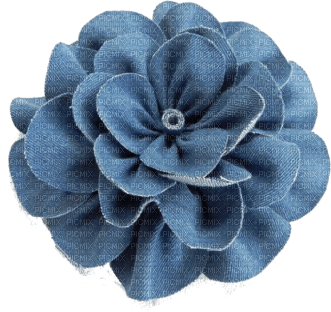 Denim Flower - ücretsiz png