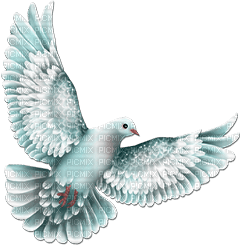 soave deco bird dove teal - PNG gratuit