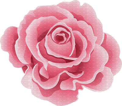 All My Roses - ücretsiz png