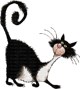 cat chat katze animal gif anime animated animation tube animaux mignon fun - 免费动画 GIF