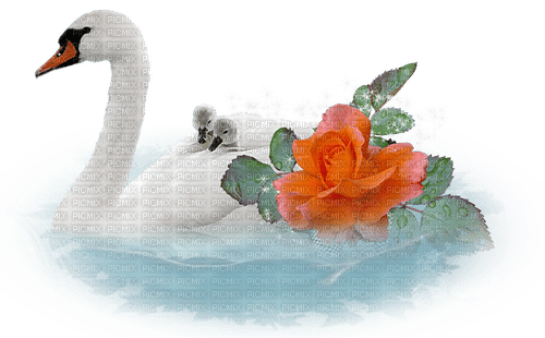 kikkapink swan lake flowers - 免费PNG