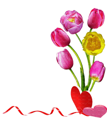 tulipany - png ฟรี