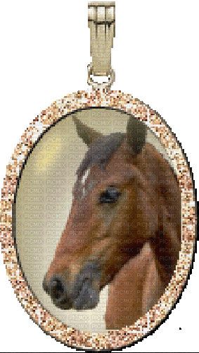 Cheval gif médaille - Free animated GIF