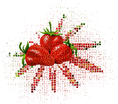 fraise - GIF animé gratuit