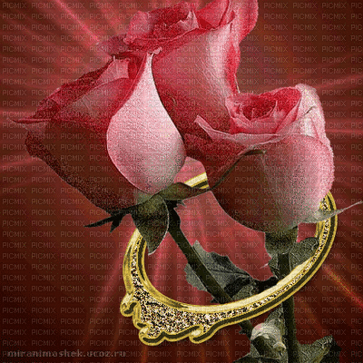 Bouquet of roses - GIF animado gratis