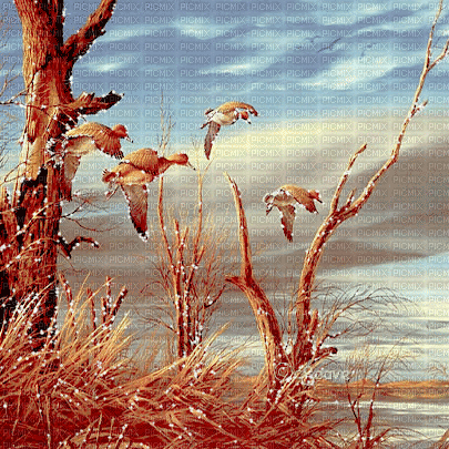 soave background animated autumn vintage lake - Gratis geanimeerde GIF