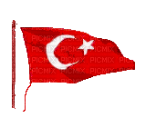 turkish - GIF animado gratis