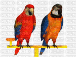 Птици - Besplatni animirani GIF