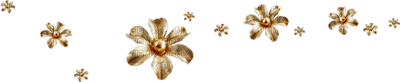 fleurs deco - Free PNG