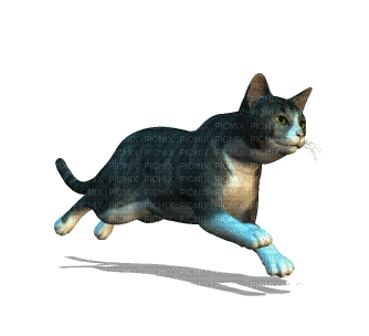 Kaz_Creations Animated  Cat Kitten - Gratis animerad GIF