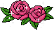 roses - GIF animate gratis