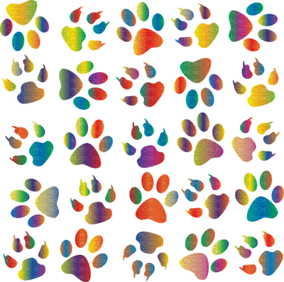 colorful paw print - png gratuito