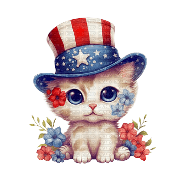 Cat USA - Bogusia - zdarma png