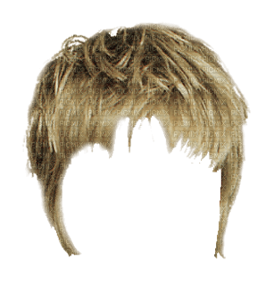 parrucca - png grátis