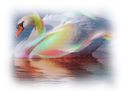 Kaz_Creations Paysage Scenery Swans Birds - darmowe png