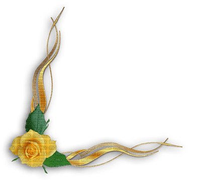 Coin rose jaune - png grátis
