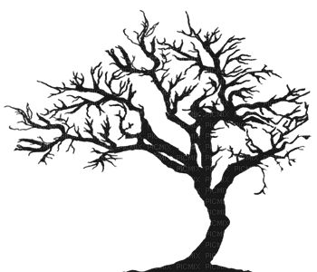 minou-tree-albero-arbre - PNG gratuit