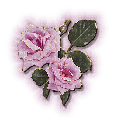 blomma-rosa - png grátis
