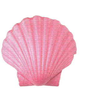 Coquillage rose - png ฟรี