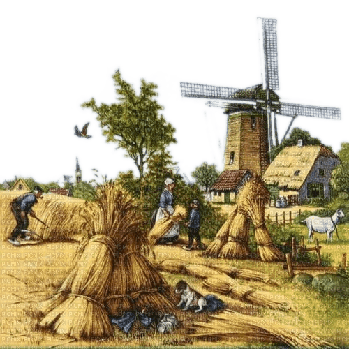 Mühle, Ernte - gratis png