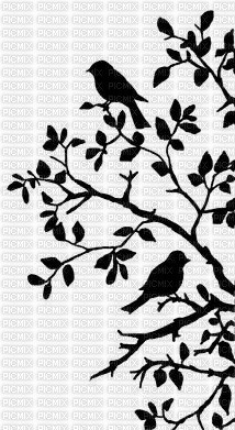 Bird in Tree Graphic - png gratuito