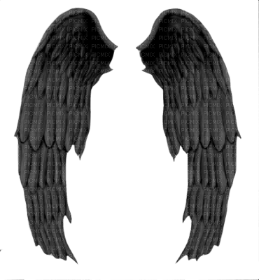 Kaz_Creations Halloween Wings - PNG gratuit