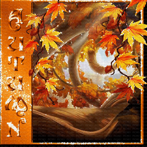 autumn automne herbst milla1959 - GIF animado gratis