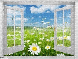 Fenetre,janela,window - Free PNG