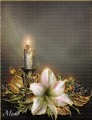 minou-flower-candle-glitter - 無料のアニメーション GIF