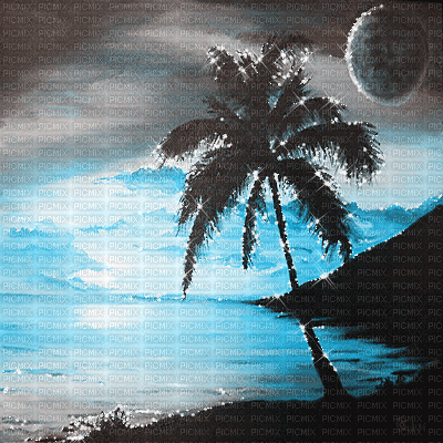 sunset beach palm summer animated dolceluna - GIF animé gratuit
