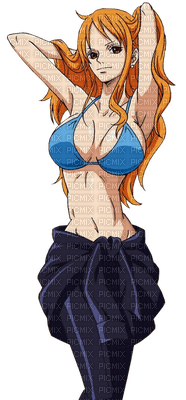 Nami One piece laurachan - 免费PNG