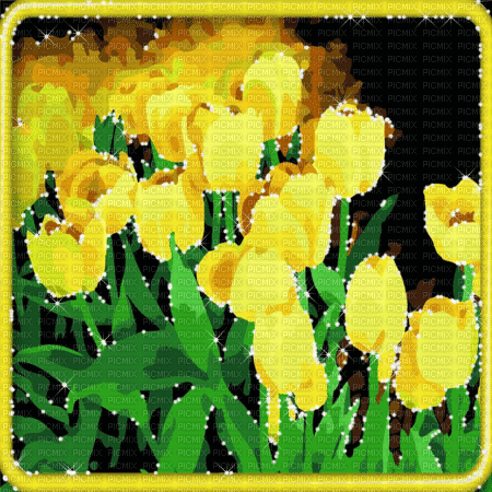 yellow milla1959 - Ingyenes animált GIF