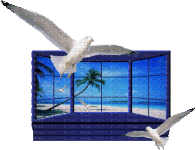 window bp - GIF animé gratuit