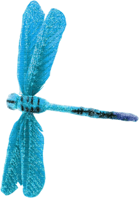 Kaz_Creations Deco Colours Dragonfly Blue - PNG gratuit
