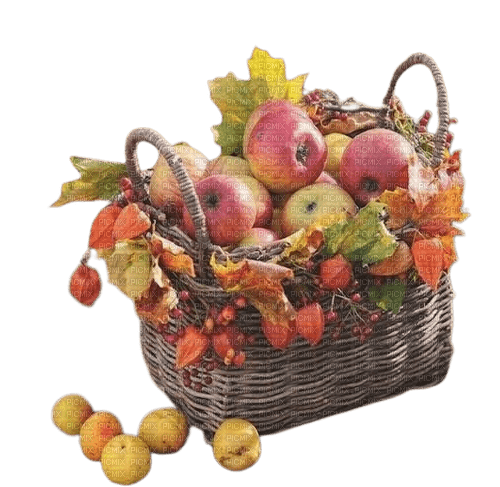 herbst, autumn, automne - gratis png