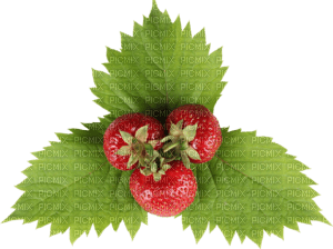 strawberries Bb2 - безплатен png