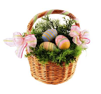eggs in basket Nitsa Papacon - PNG gratuit