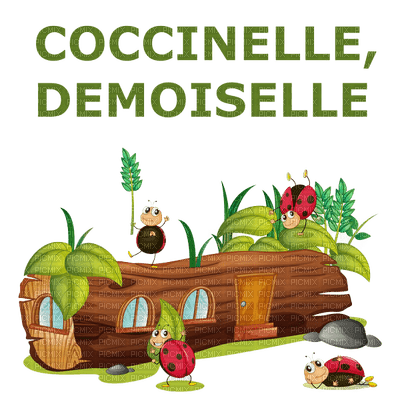 coccinelle.Cheyenne63 - δωρεάν png