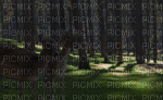 ani-bg-skog-djur-paparazzi-minou52 - Darmowy animowany GIF