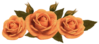 vintage roses - фрее пнг