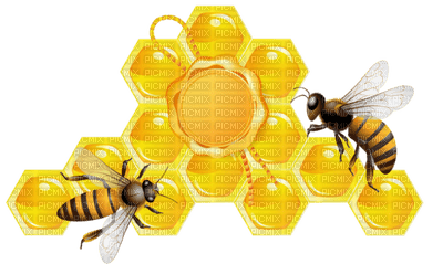 honey bee bp - ücretsiz png