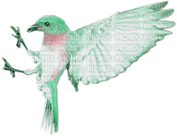 soave deco bird spring pink green - Free PNG