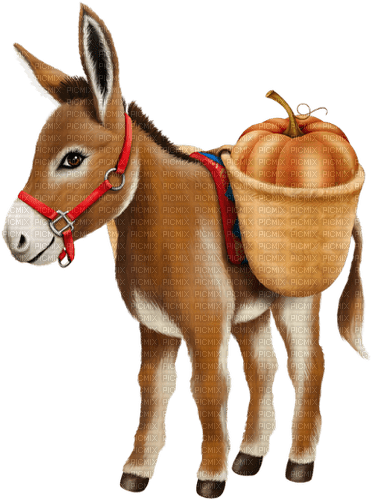 Donkey with Pumpkin - png gratis